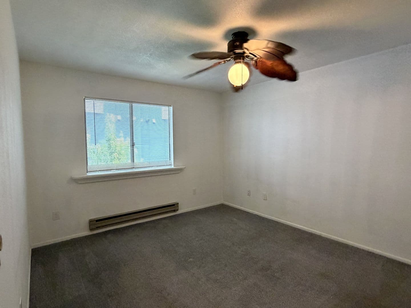 Fort Collins Condo: 1209 W. Plum St. C-6