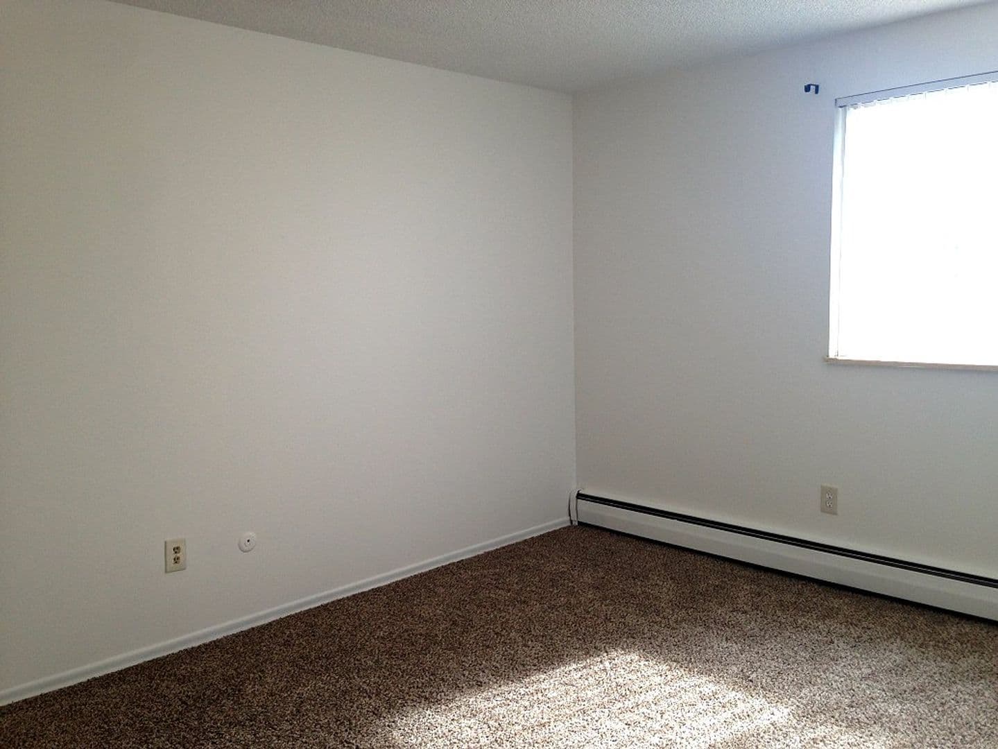 Fort Collins Apartment: 308 E. Oak St