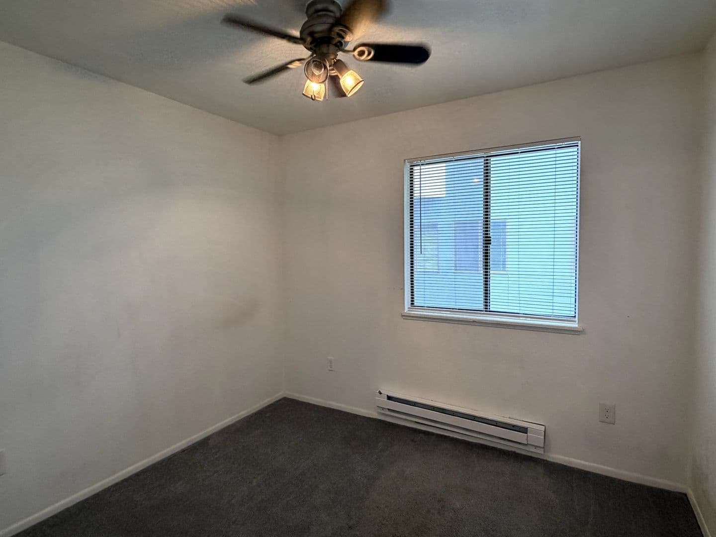 Fort Collins Condo: 1209 W. Plum St. C-6