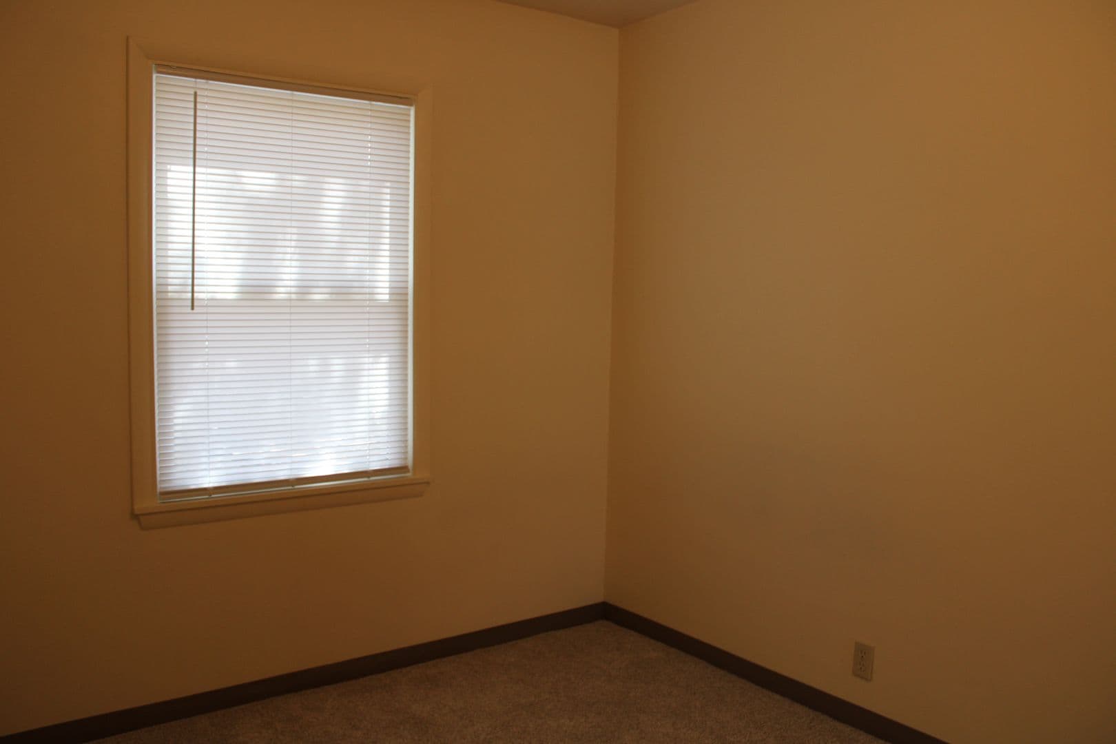 Fort Collins Apartment: 610 Stover St.