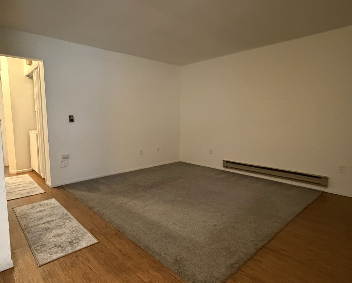 Fort Collins Condo: 1209 W. Plum St. C-6