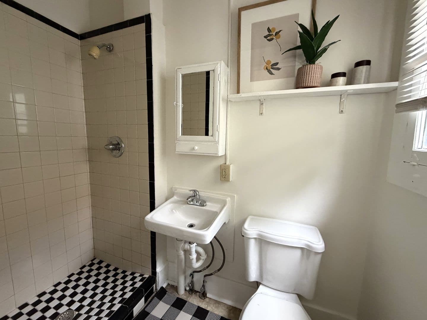 Fort Collins House: 604 S Meldrum Street