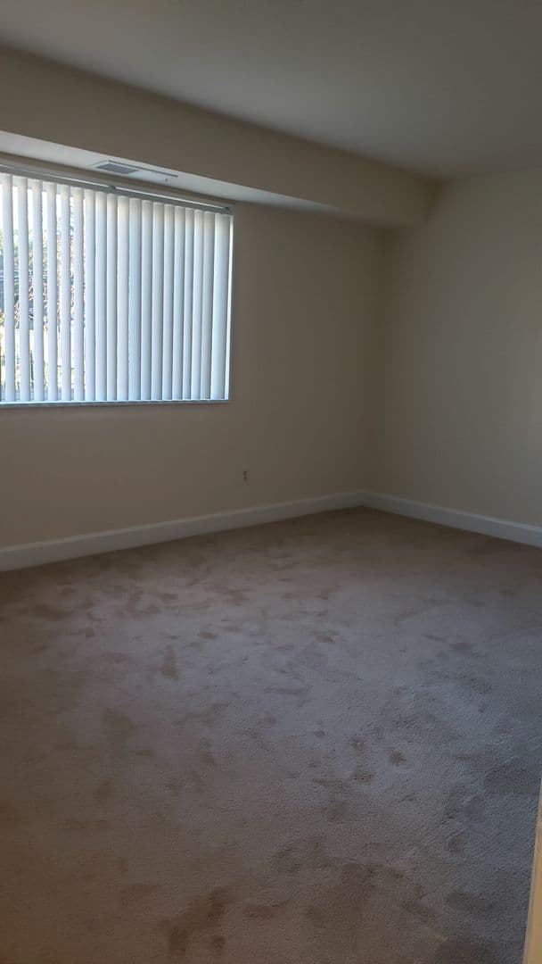 Silver Spring Apartment: 3331 Hewitt Ave