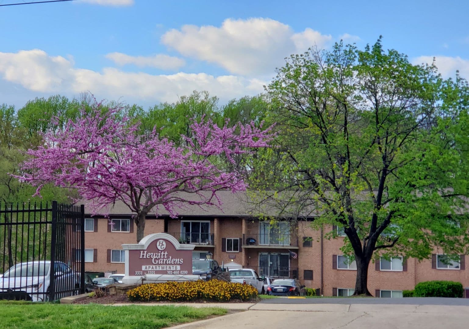 Silver Spring Apartment: 3331 Hewitt Ave