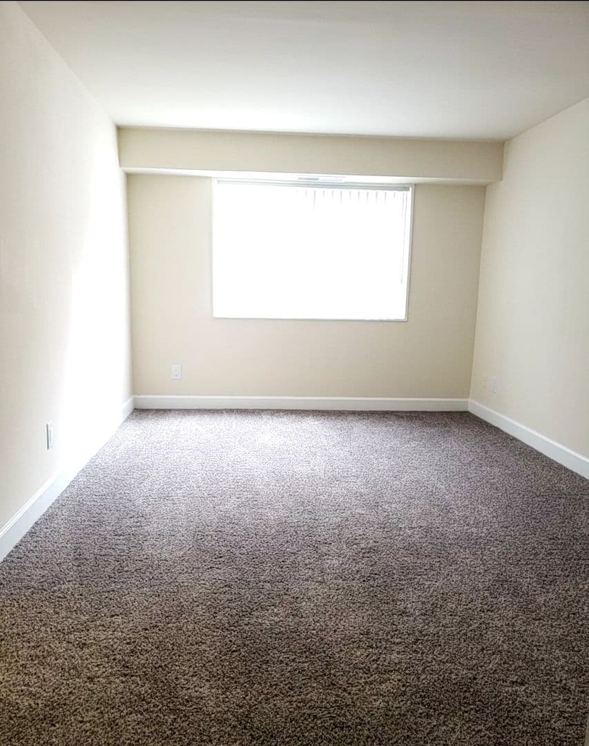 Silver Spring Apartment: 3331 Hewitt Ave