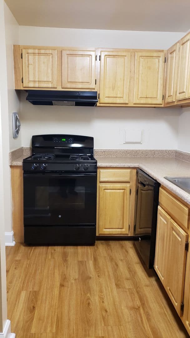 Silver Spring Apartment: 3331 Hewitt Ave