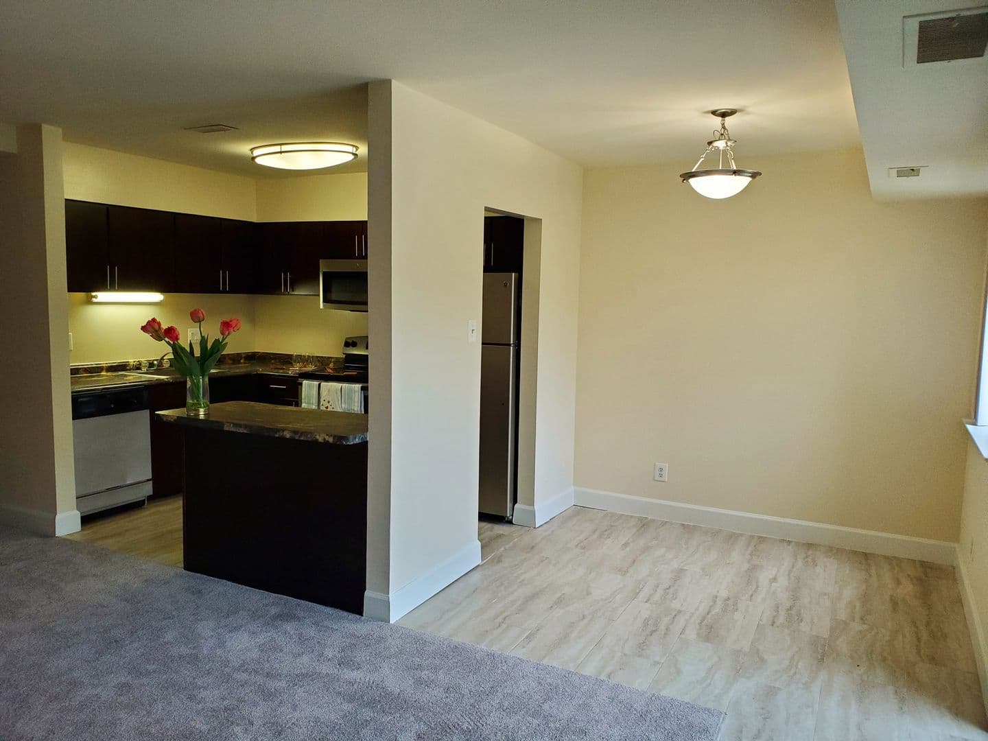 Silver Spring Apartment: 14207 Grand Pre Road
