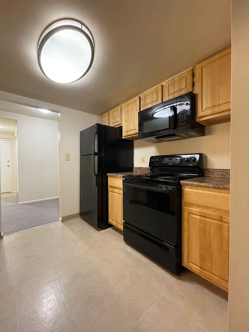Silver Spring Apartment: 14207 Grand Pre Road
