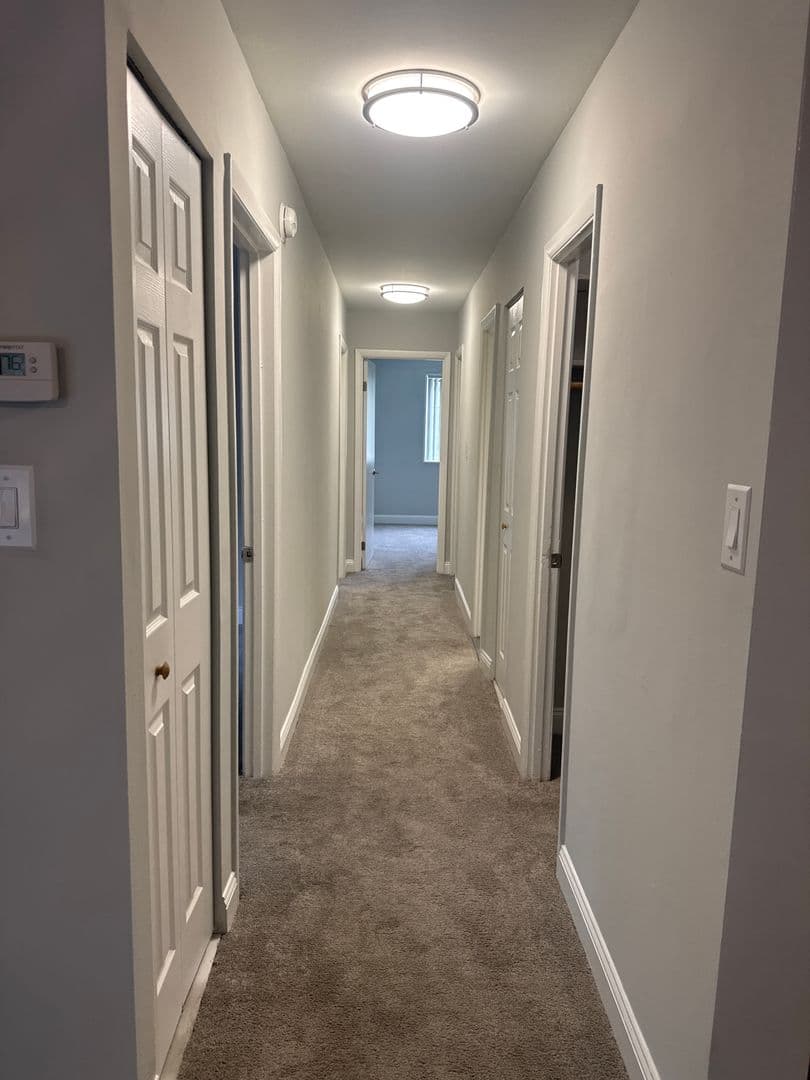 Silver Spring Apartment: 3331 Hewitt Ave
