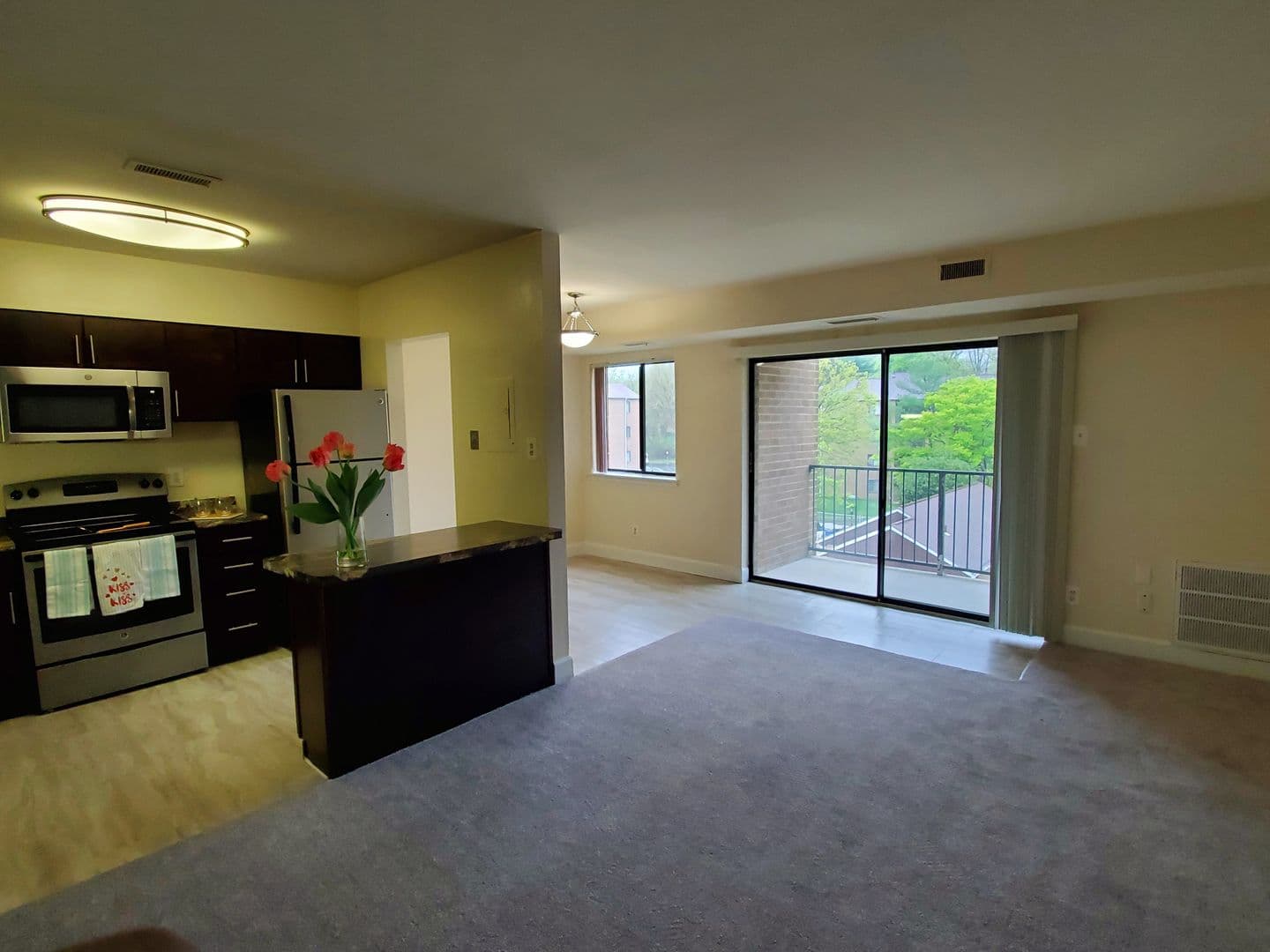 Silver Spring Apartment: 14207 Grand Pre Road