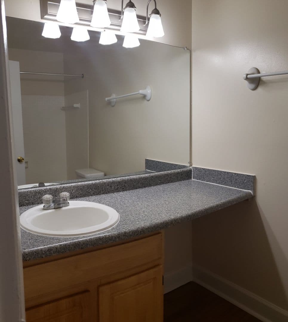 Silver Spring Apartment: 3331 Hewitt Ave