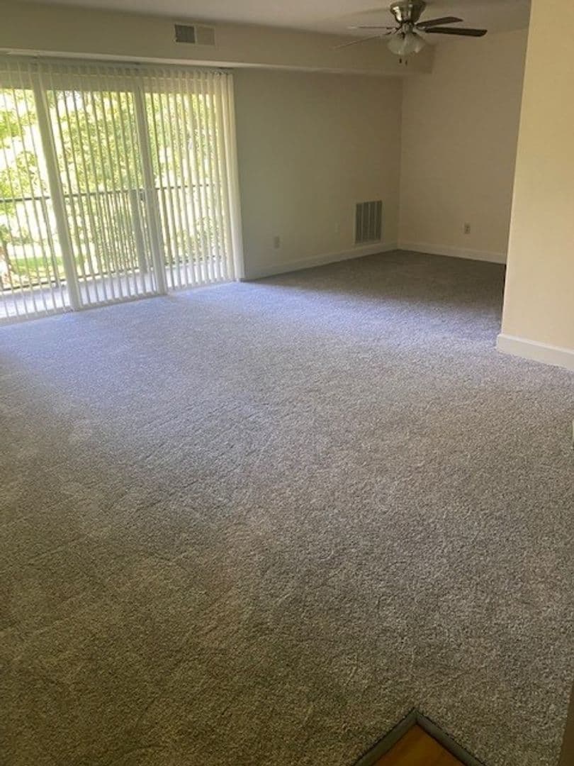 Silver Spring Apartment: 3331 Hewitt Ave