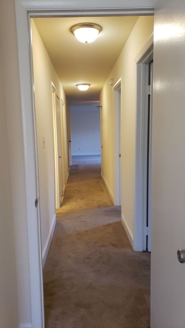 Silver Spring Apartment: 3331 Hewitt Ave