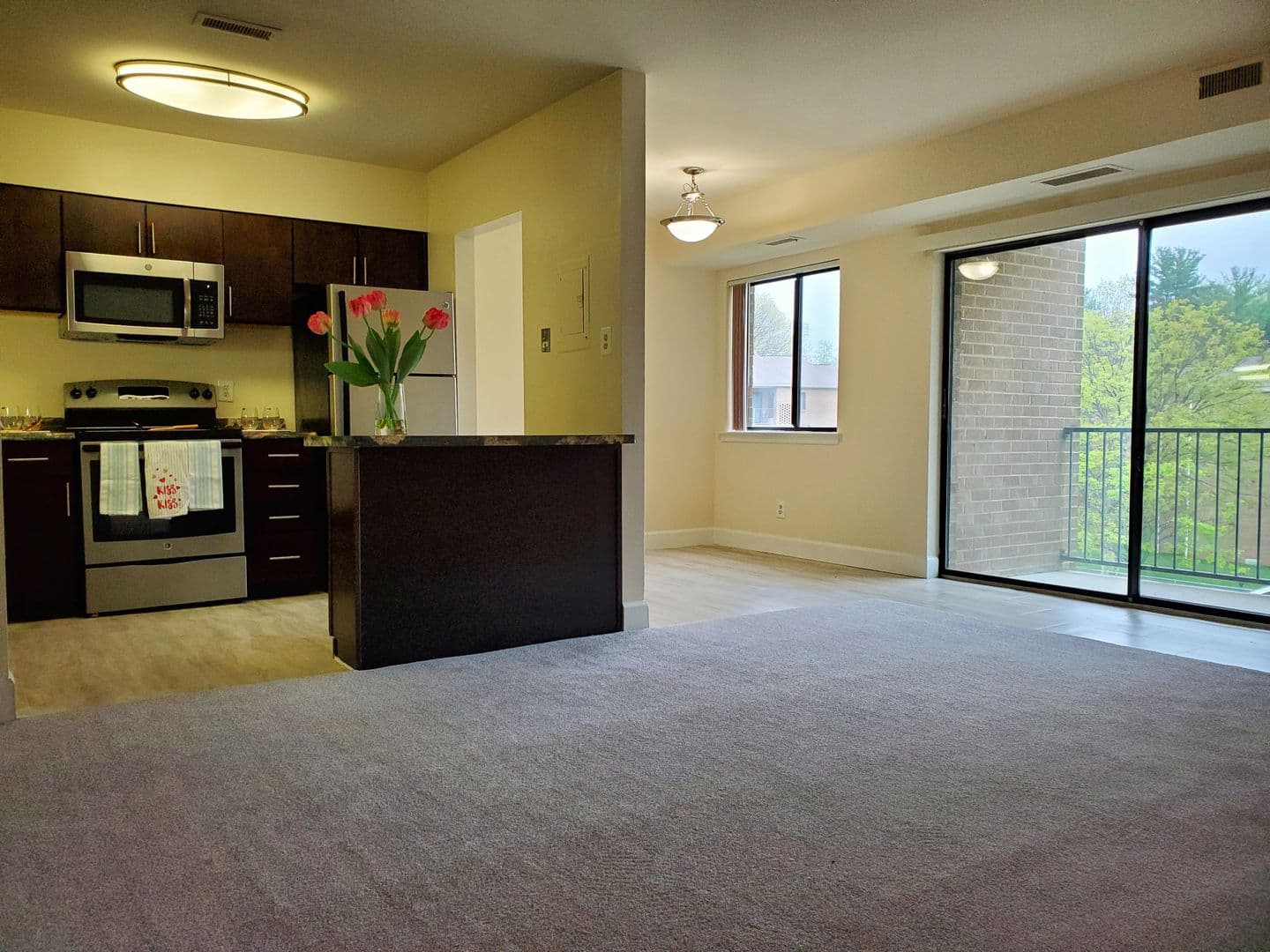 Silver Spring Apartment: 14207 Grand Pre Road