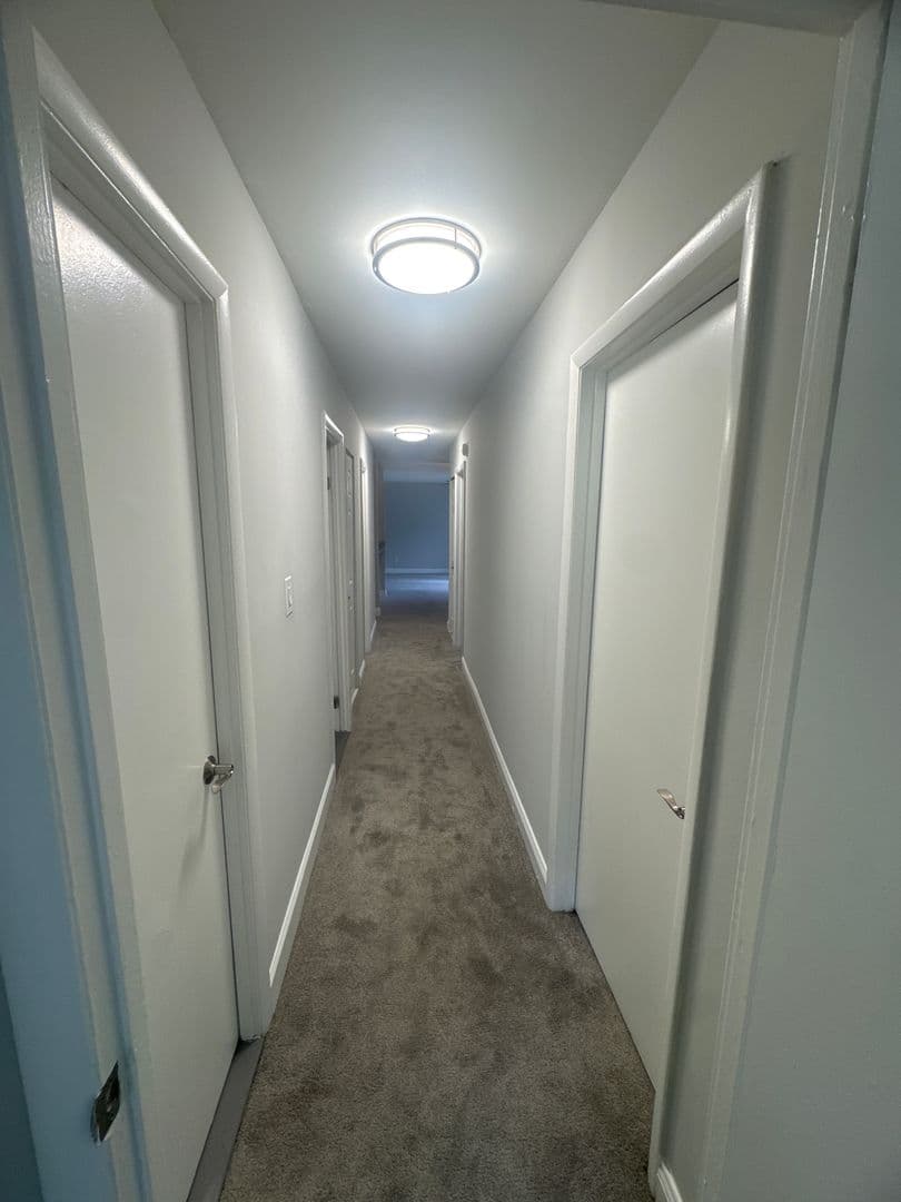 Silver Spring Apartment: 3331 Hewitt Ave