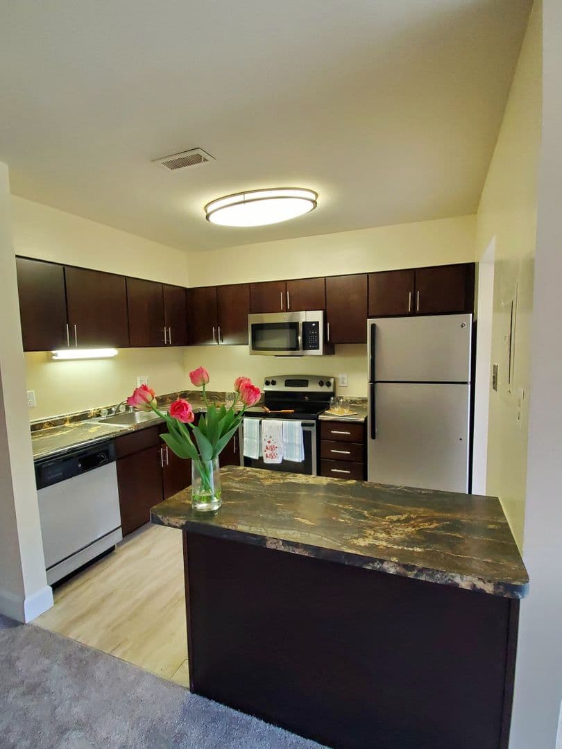 Silver Spring Apartment: 14207 Grand Pre Road