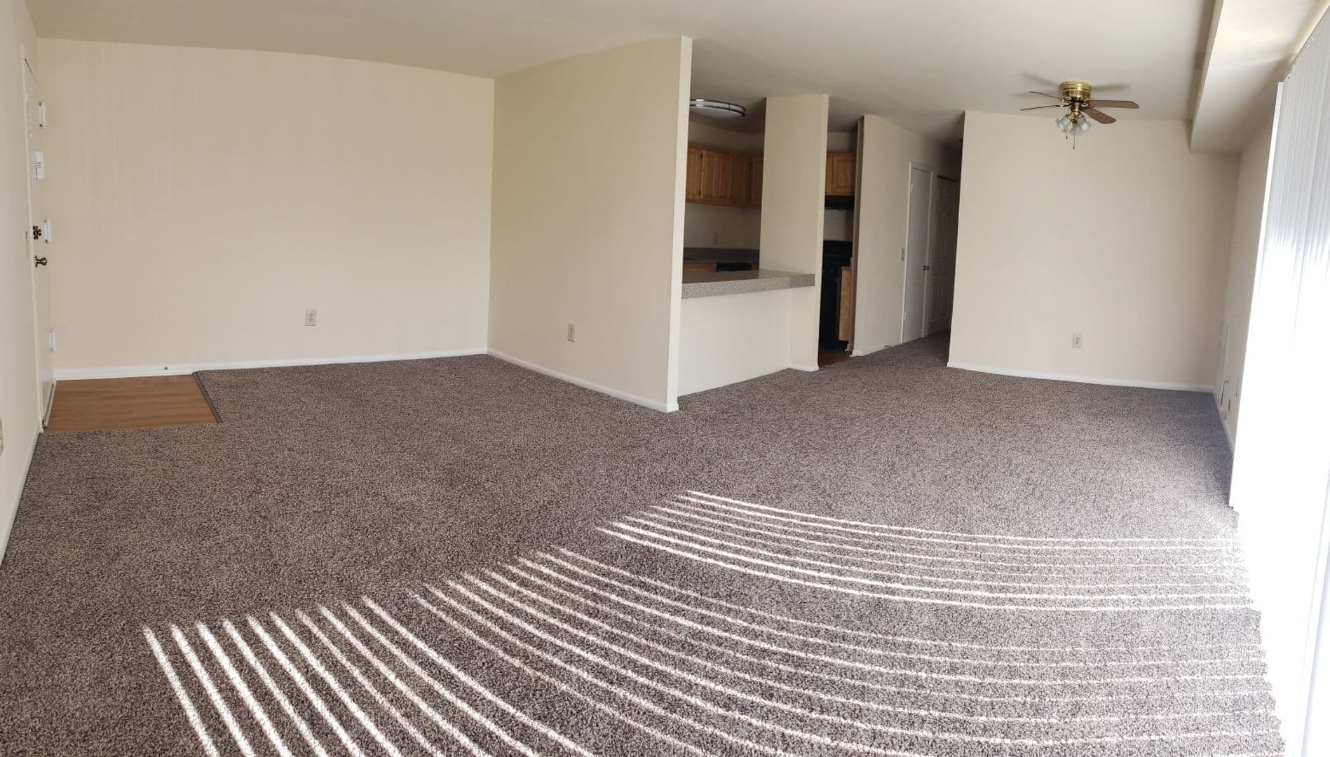 Silver Spring Apartment: 3331 Hewitt Ave