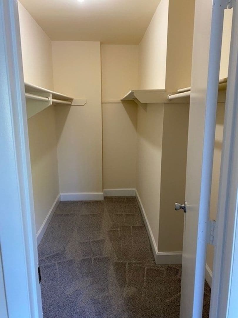 Silver Spring Apartment: 3331 Hewitt Ave