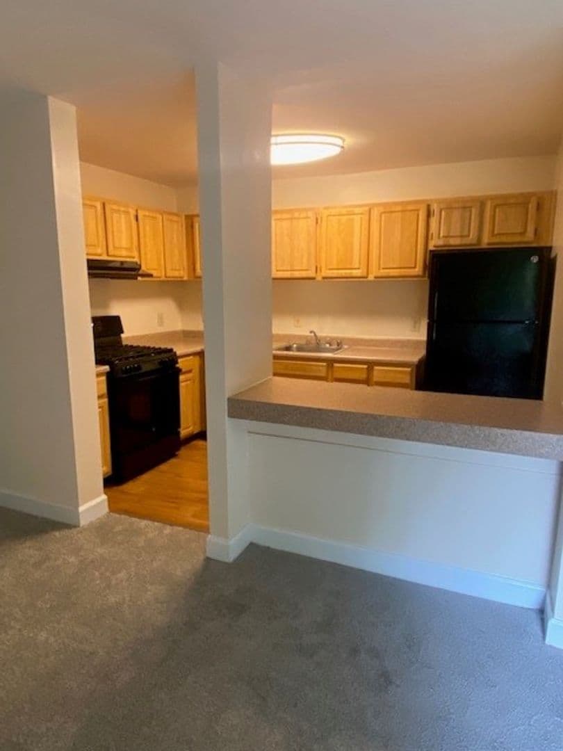 Silver Spring Apartment: 3331 Hewitt Ave