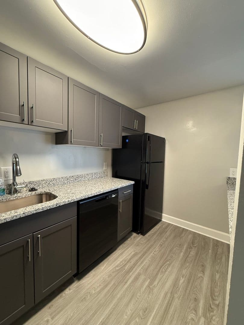 Silver Spring Apartment: 3331 Hewitt Ave