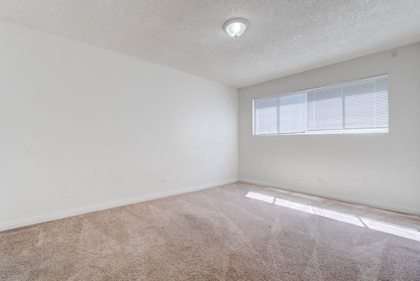 Las Vegas Apartment: 3237 Arlene Way