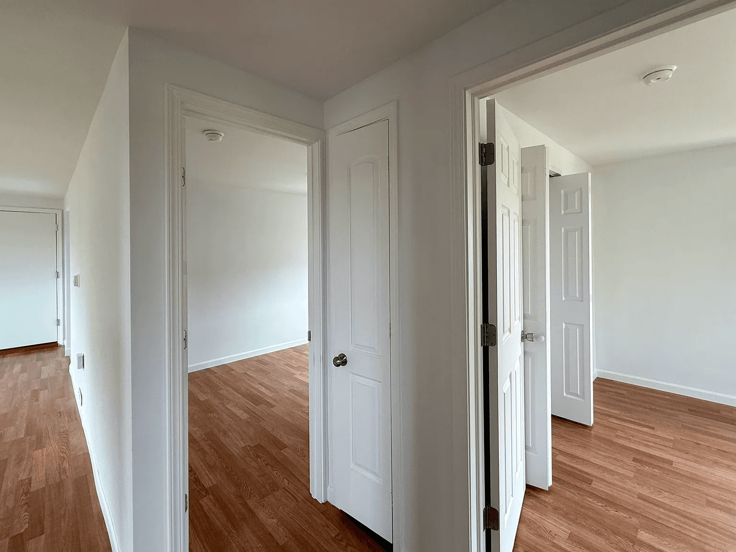 County Apartment: New Haven