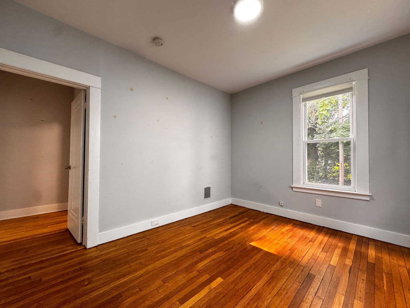 New Haven Apartment: 155 Foster Street