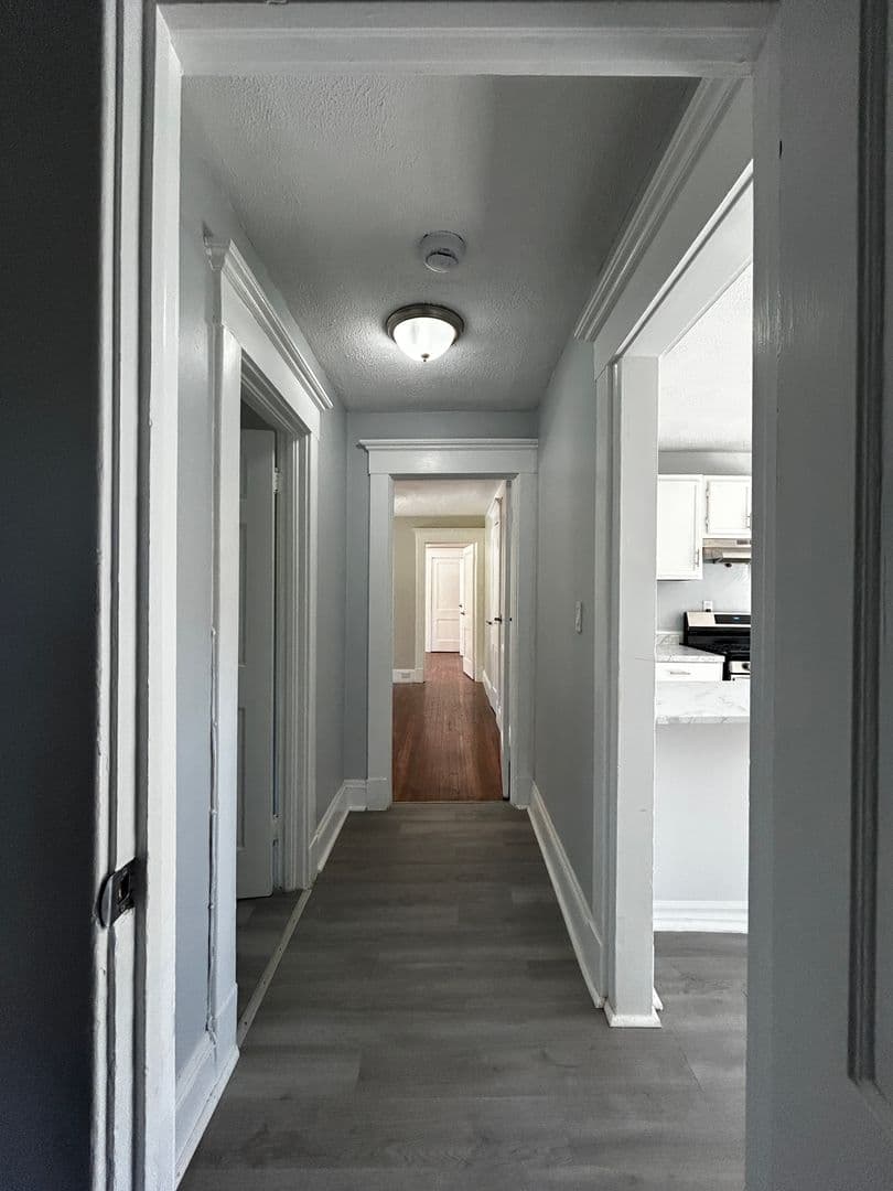 New Haven Apartment: New Haven