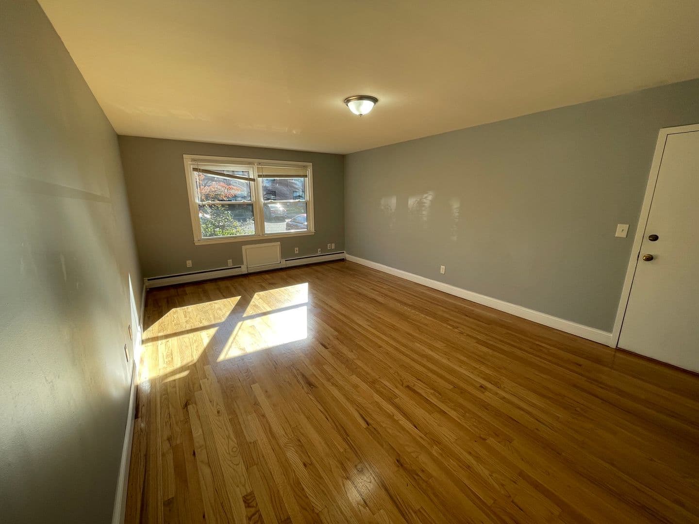 New Haven Apartment: 311 Blake Street