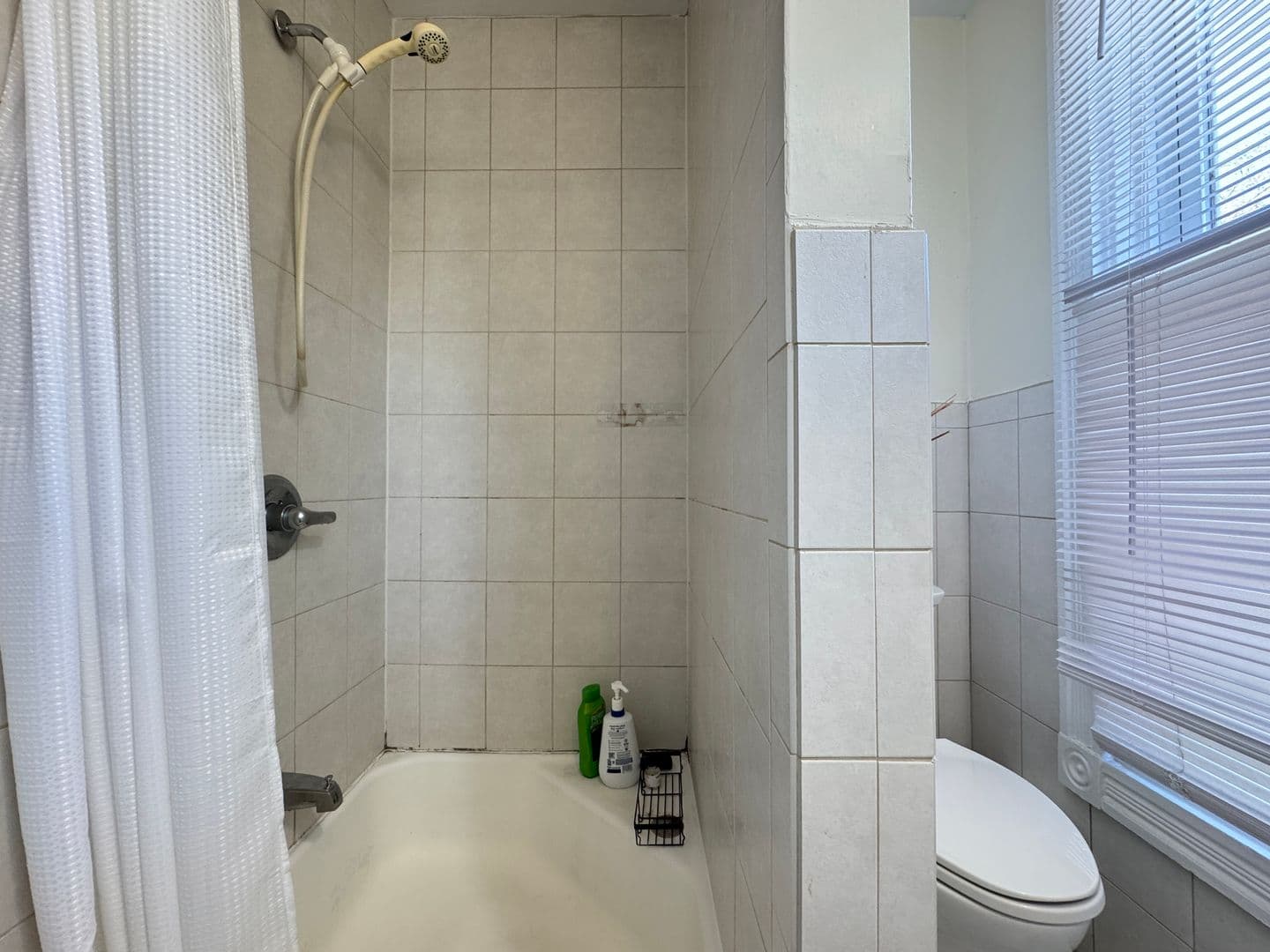 New Haven Apartment: 59 Trumbull Street