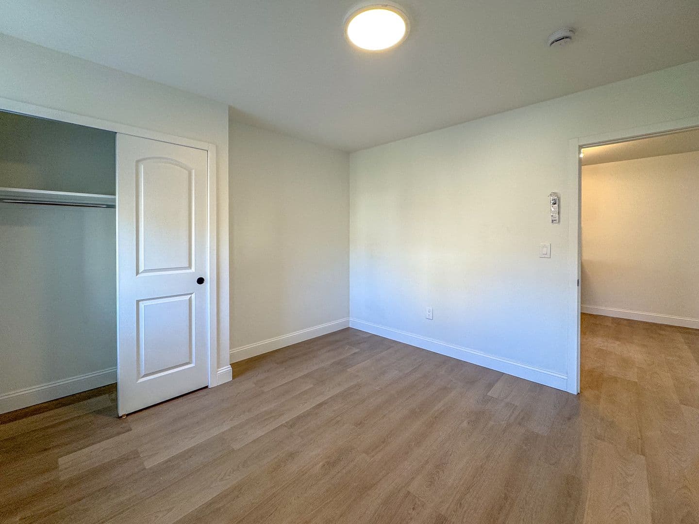 County Apartment: New Haven