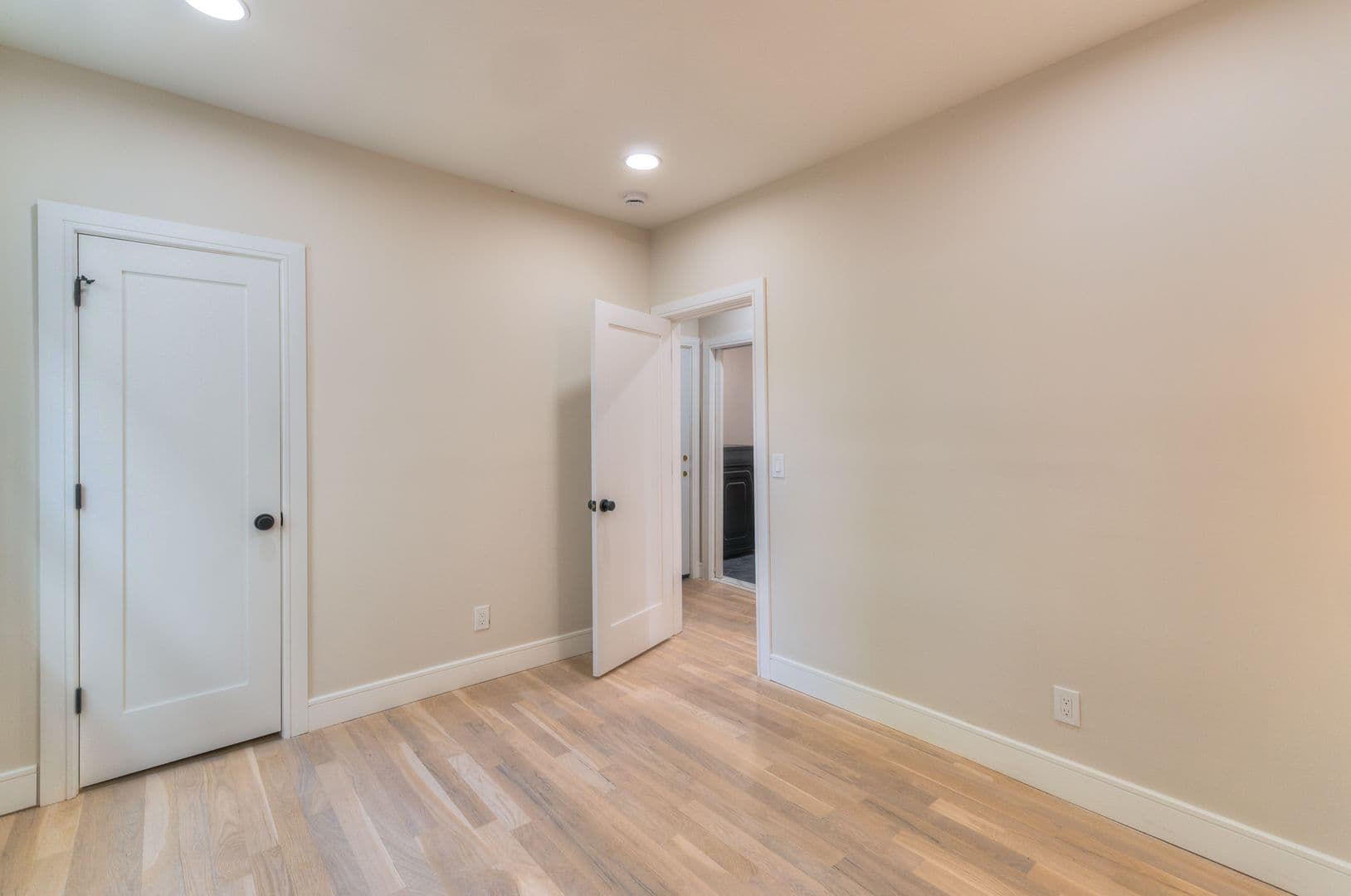 New Haven Apartment: 123 Winchester