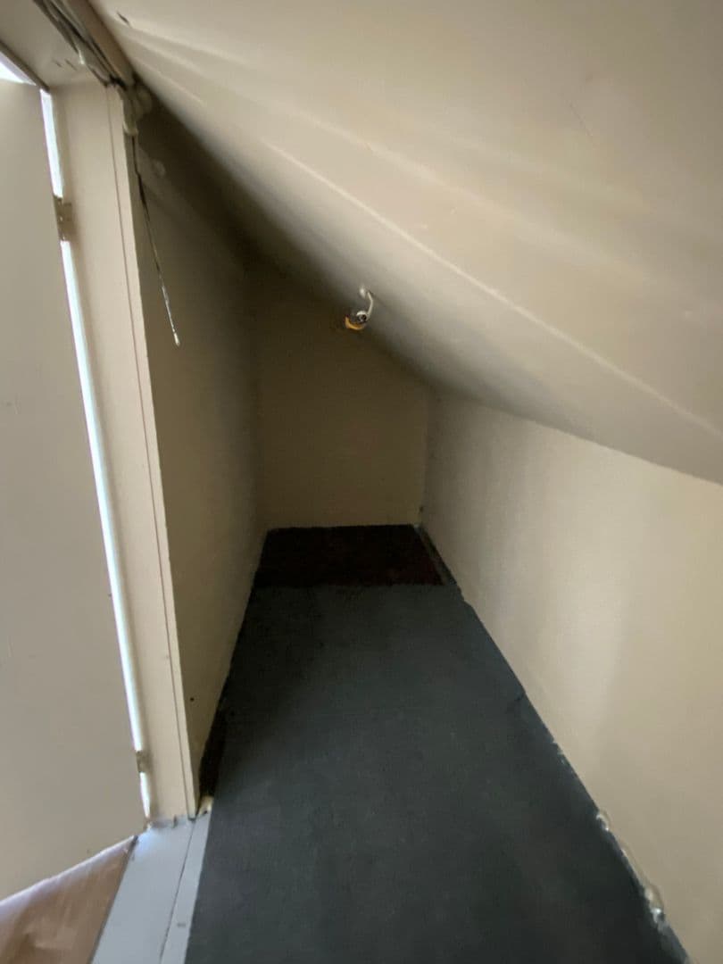 New Haven Apartment: 97 Bristol St