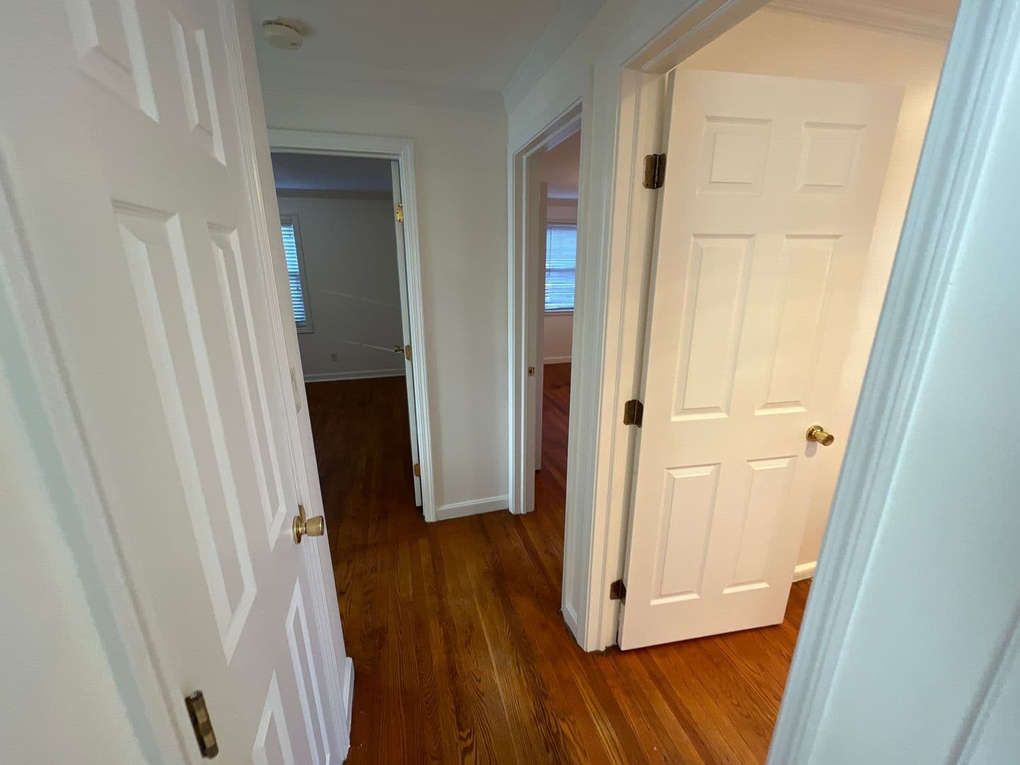 County Apartment: New Haven