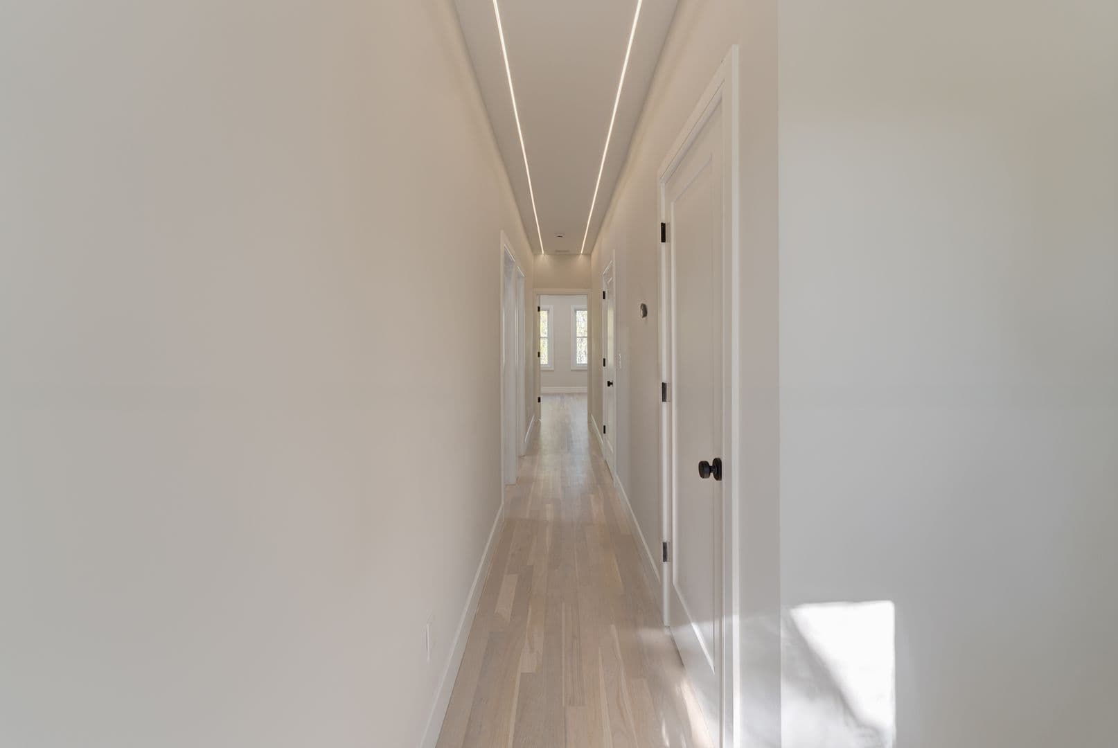 New Haven Apartment: 123 Winchester