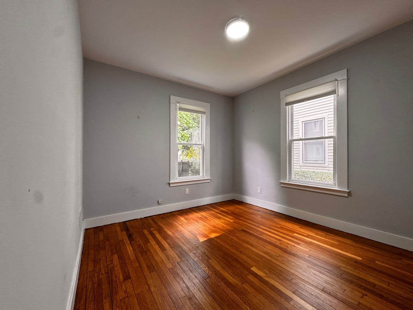 New Haven Apartment: 155 Foster Street