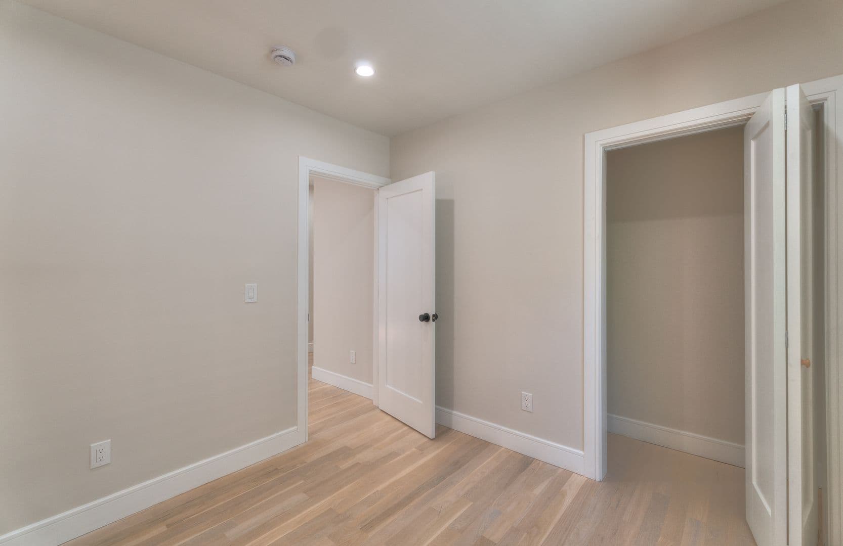 New Haven Apartment: 123 Winchester