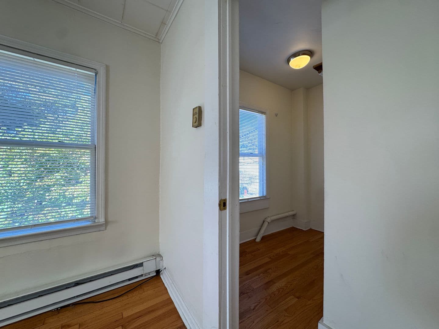 New Haven Apartment: 42 William St
