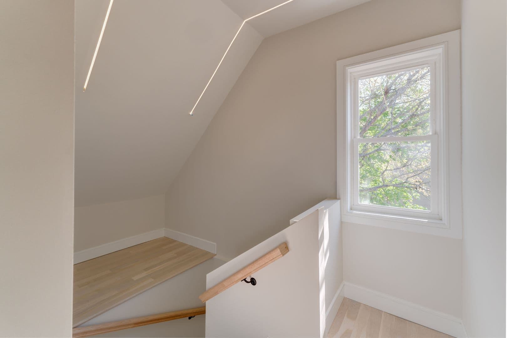New Haven Apartment: 123 Winchester