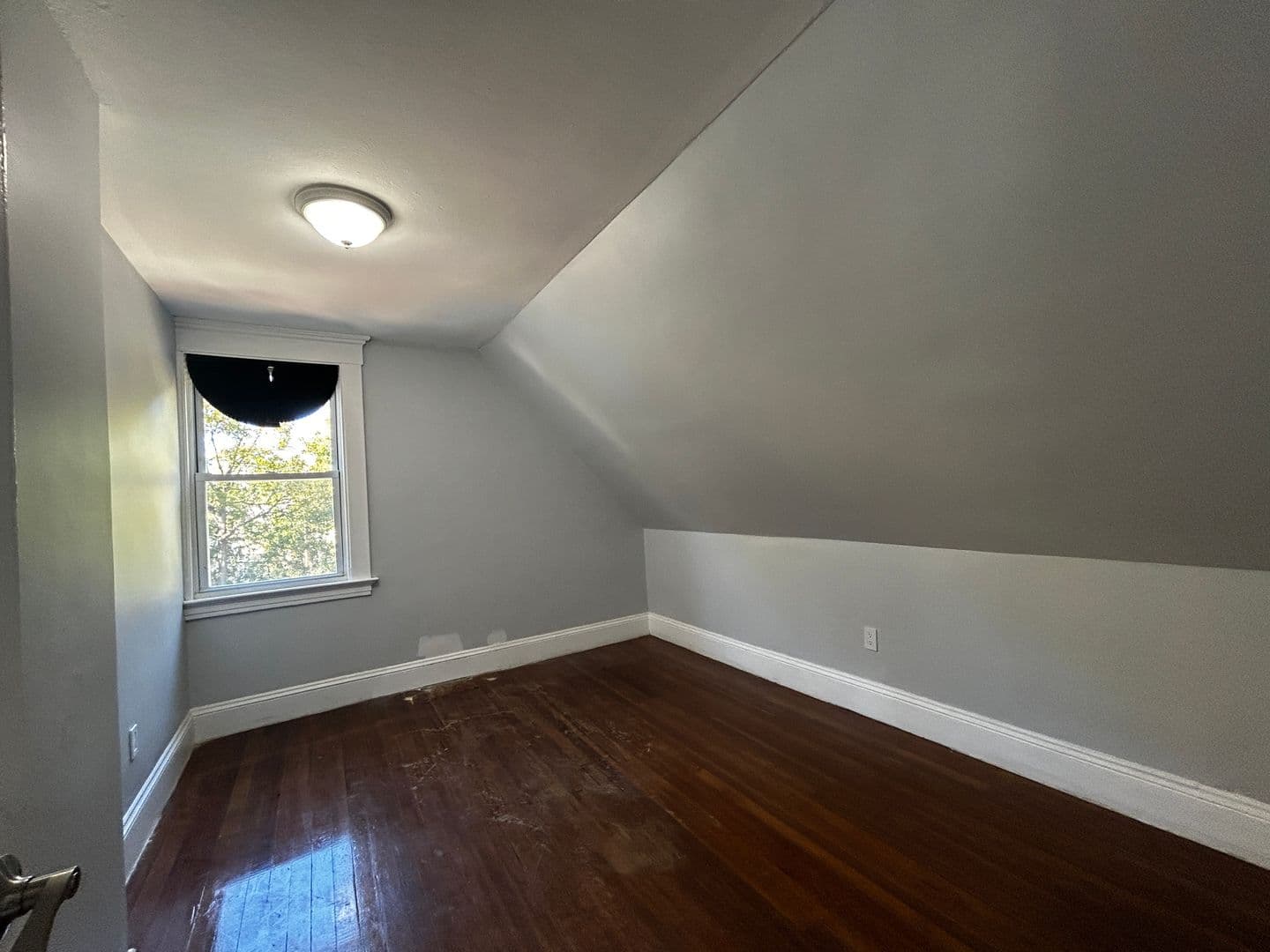 New Haven Apartment: New Haven