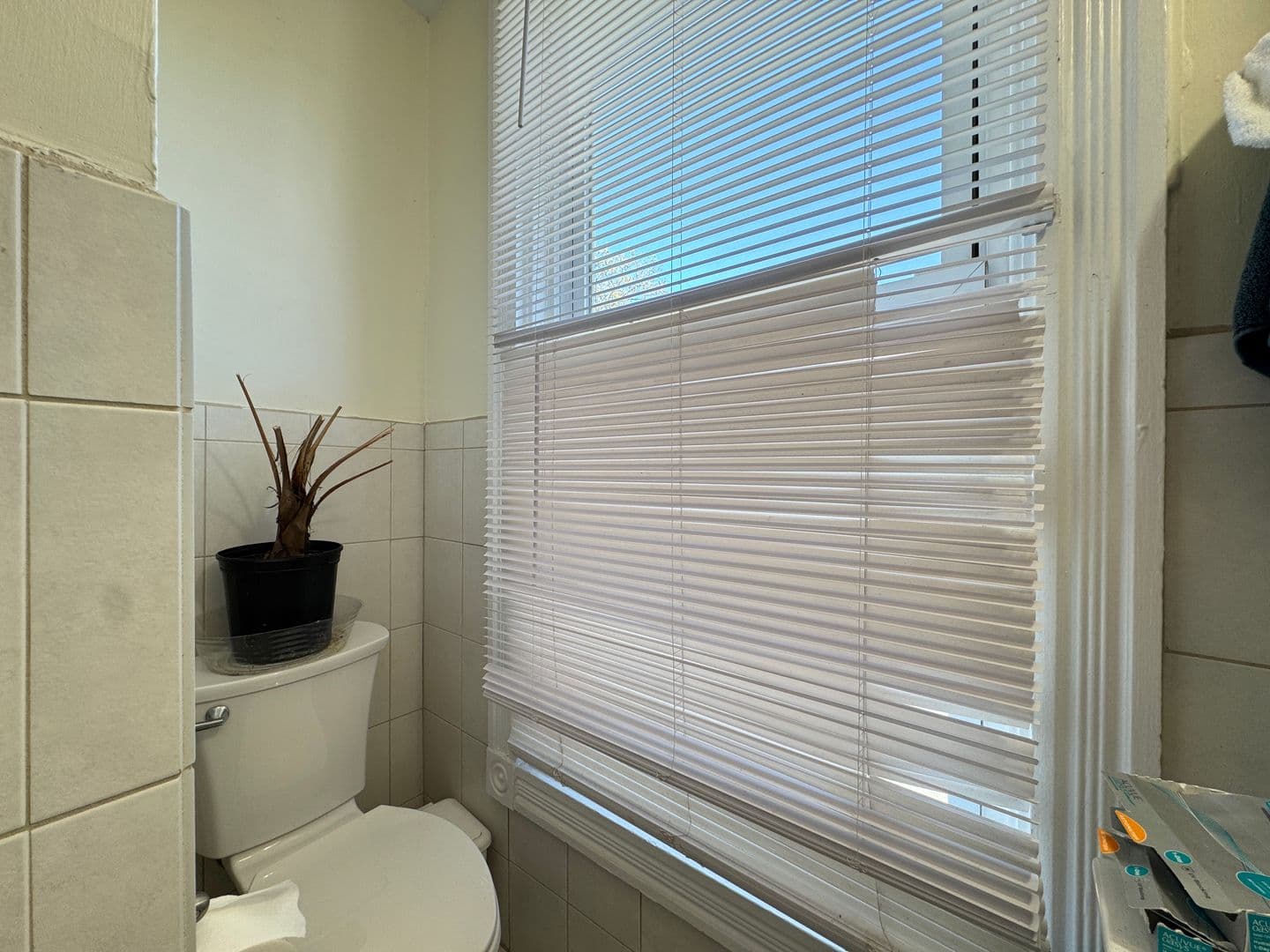 New Haven Apartment: 59 Trumbull Street