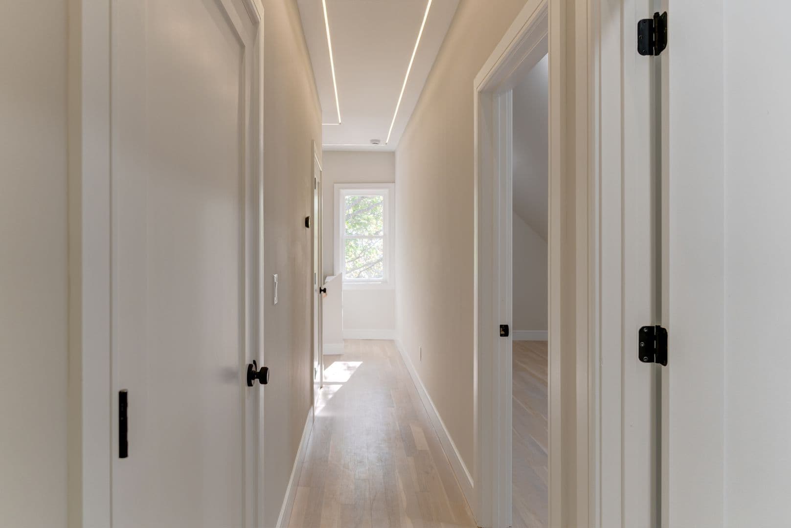 New Haven Apartment: 123 Winchester