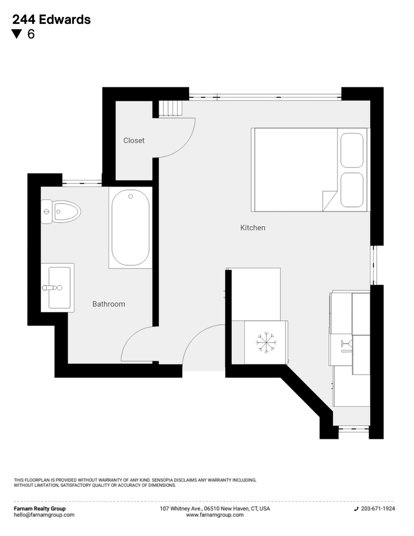 New Haven Apartment: 244 Edwards St.