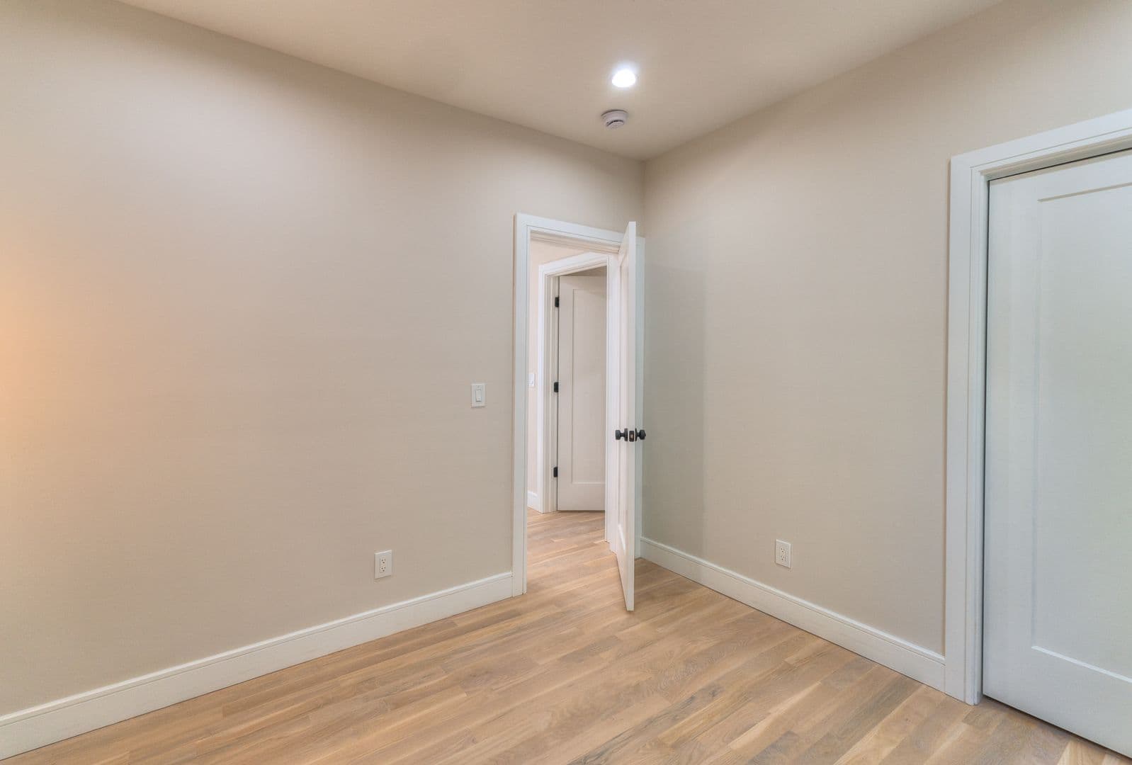 New Haven Apartment: 123 Winchester