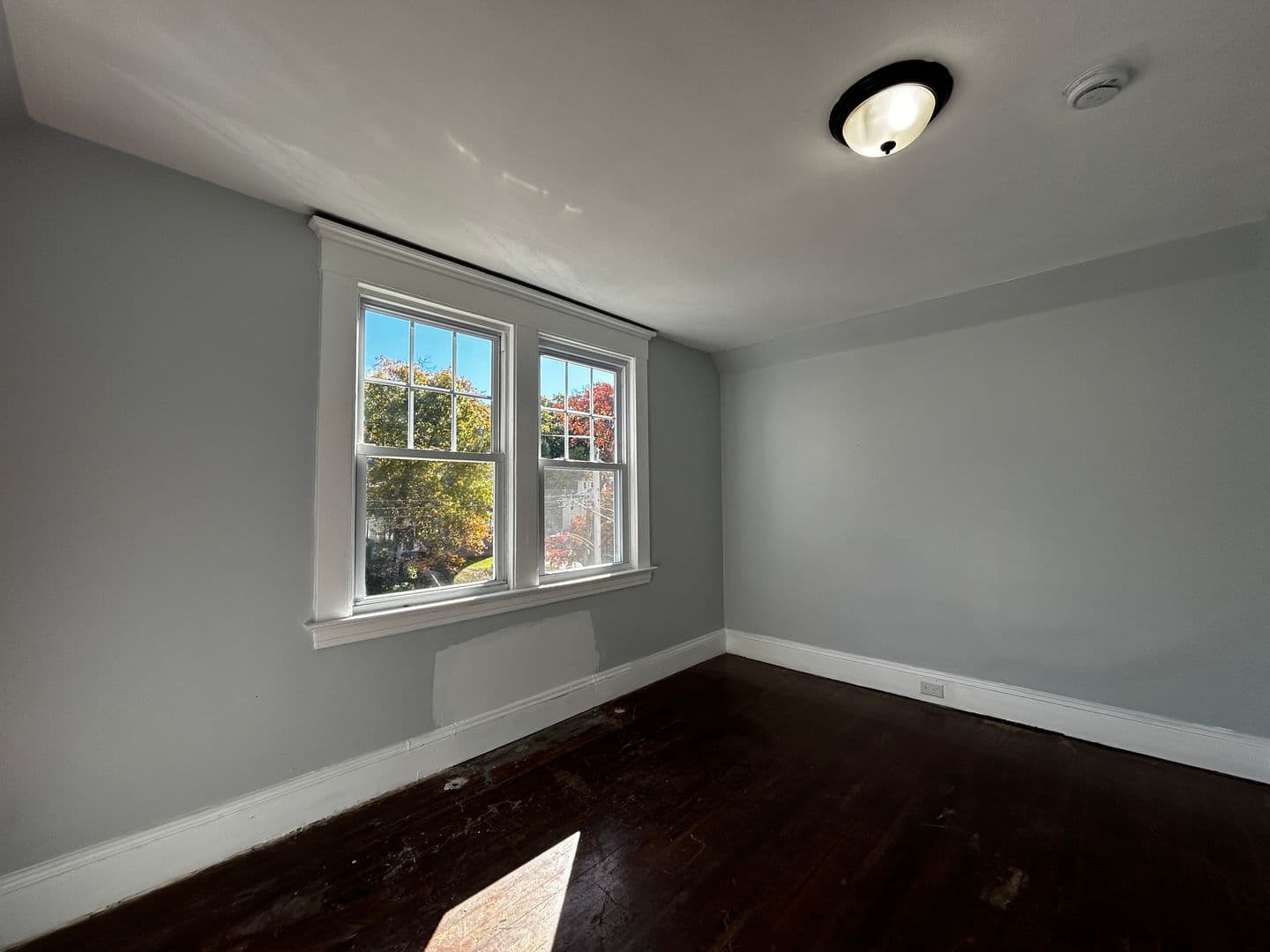 New Haven Apartment: New Haven