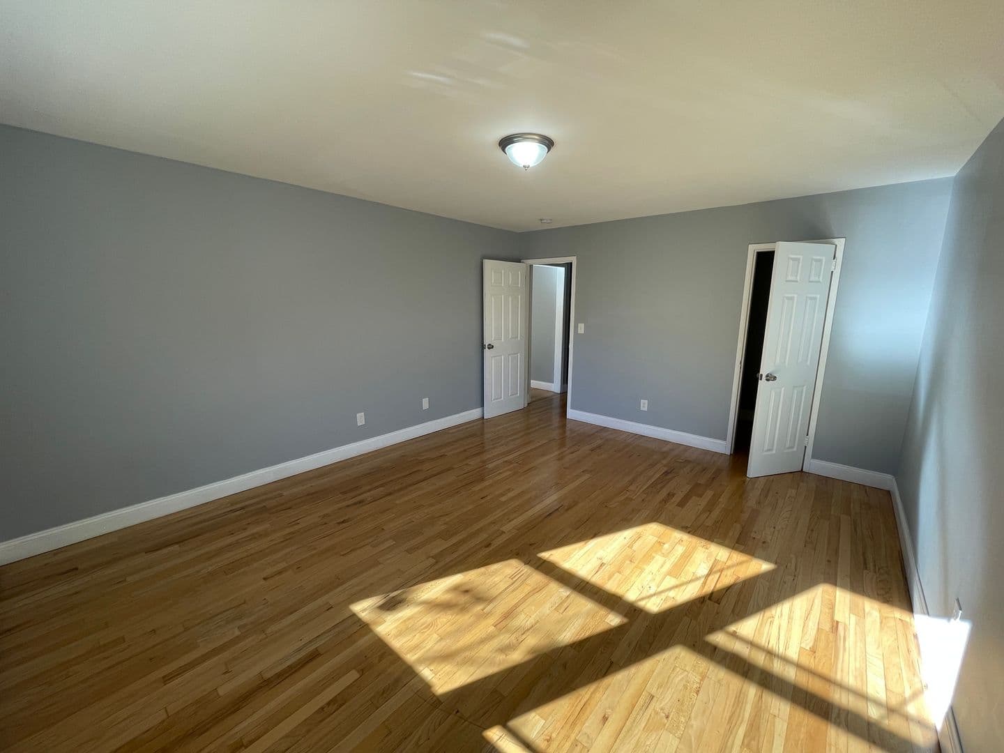 New Haven Apartment: 311 Blake Street