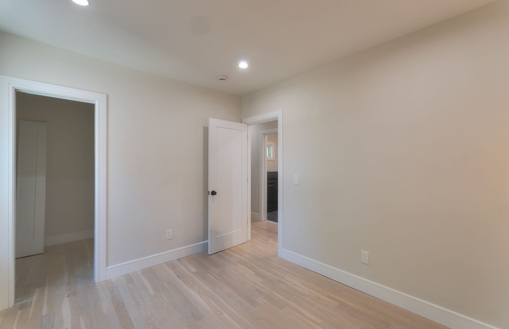 New Haven Apartment: 123 Winchester
