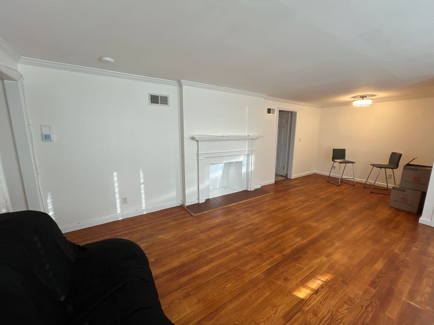 County Apartment: New Haven