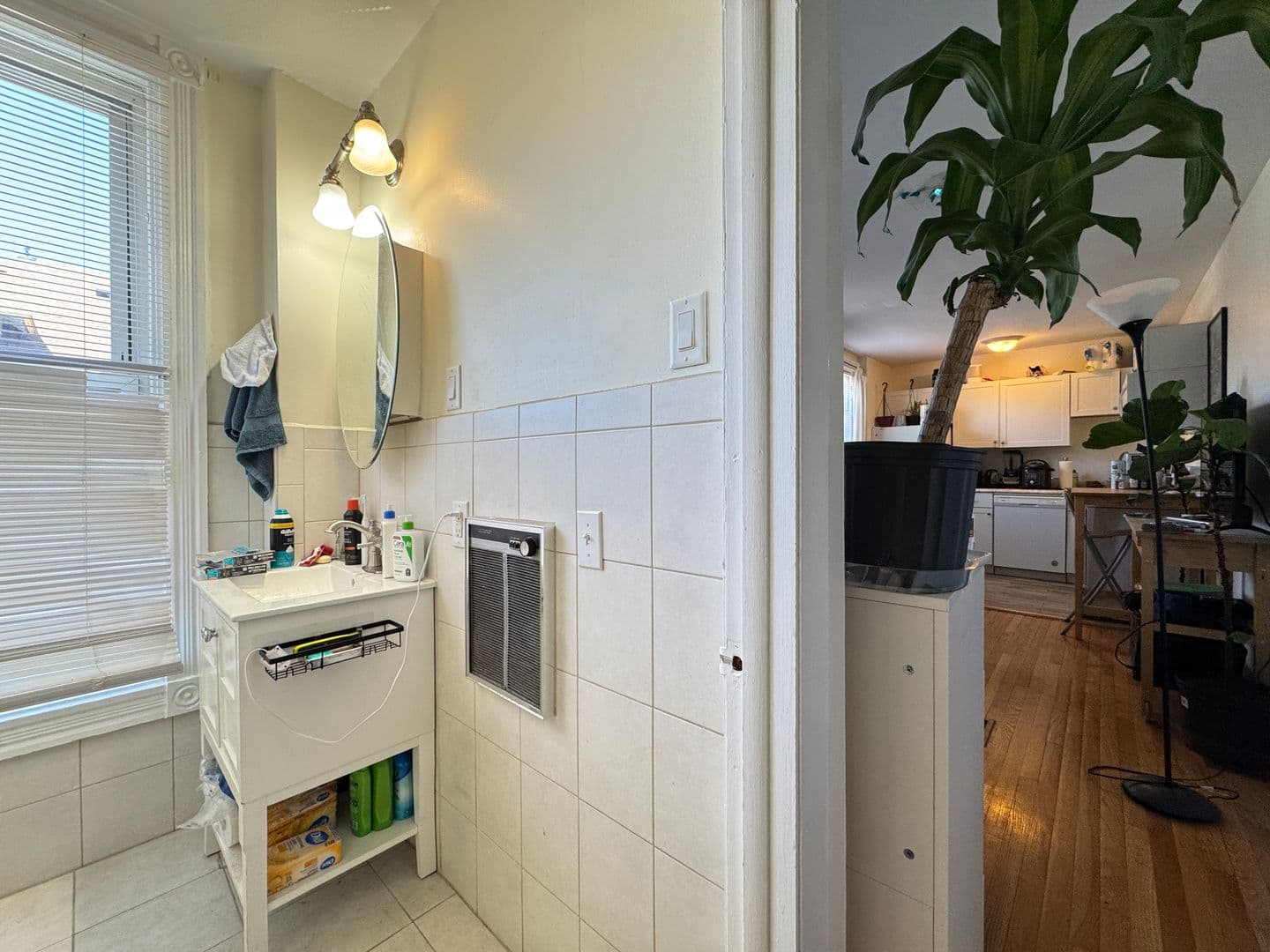 New Haven Apartment: 59 Trumbull Street