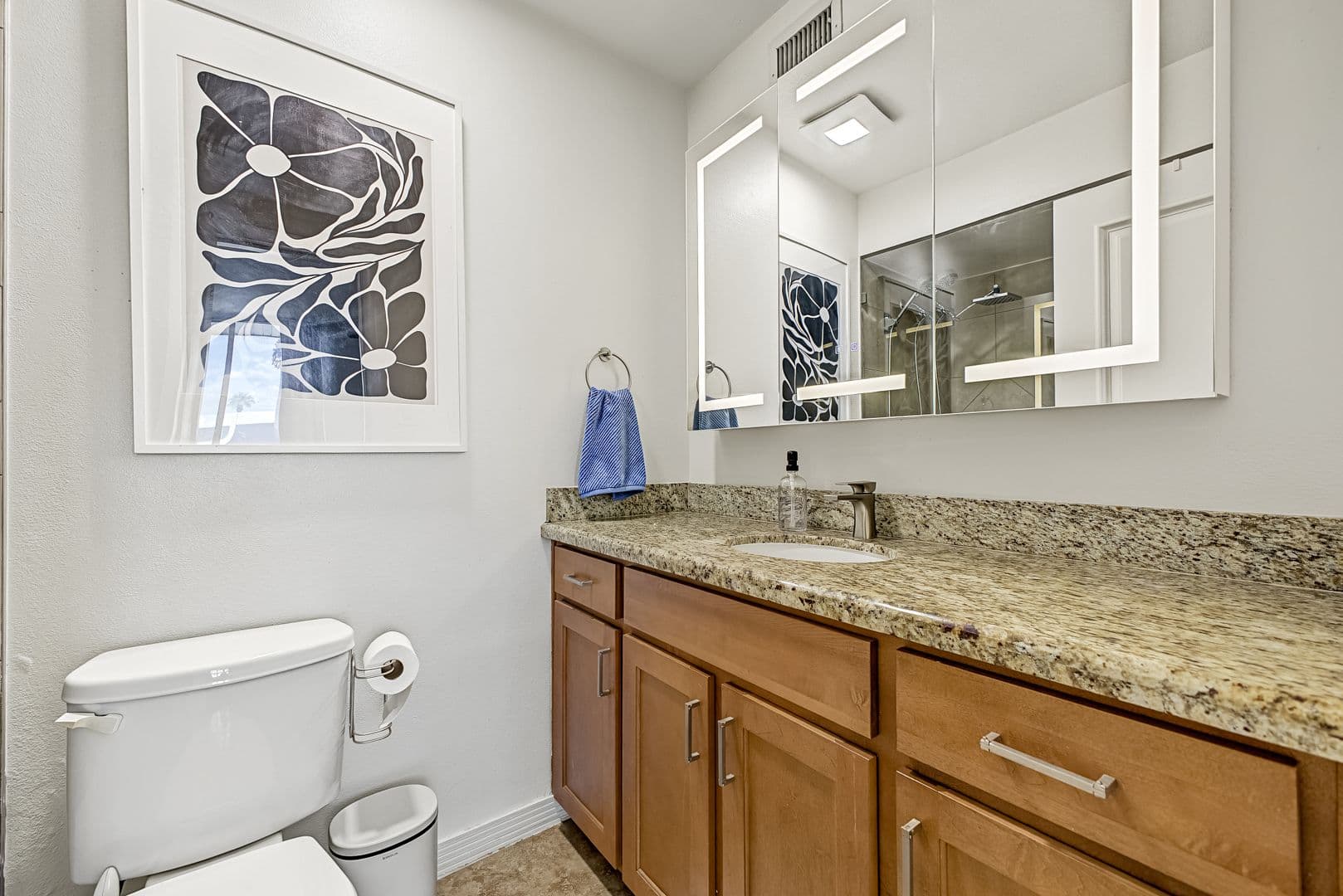 Phoenix House: 1225 E. Medlock Dr.